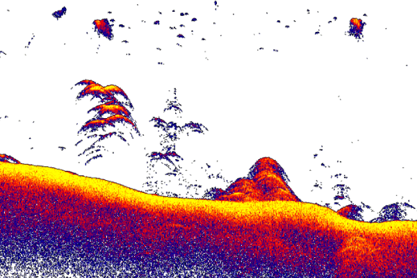 000-16226-001_1
