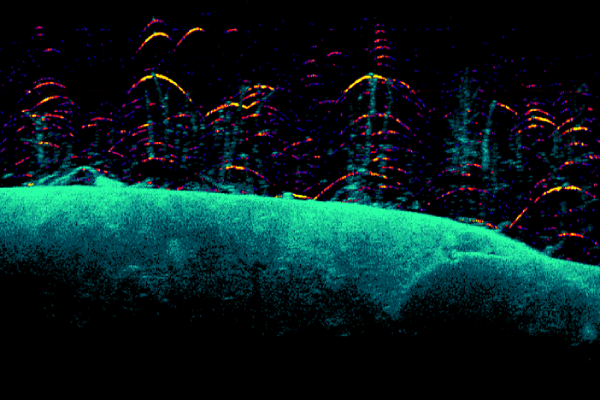 000-16226-001_2