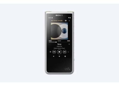 Sony  Walkman Zx  High-Resolution Digital Music Player - NWZX507/S