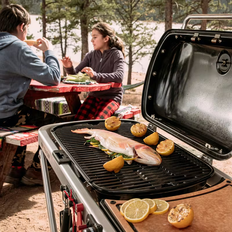 Rv gas grills hotsell