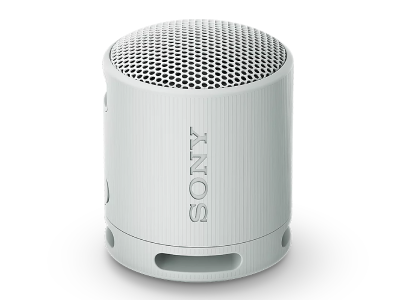 Sony XB100 Portable Wireless Speaker in Silver - SRSXB100/H