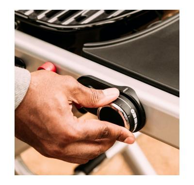 Weber Traveler Portable Liquid Propane Gas Grill - 9010001