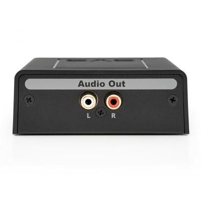SVSound SoundPath Speaker Level Subwoofer Adapter - SPSLSA