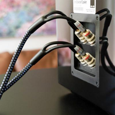 SVSound SoundPath 20 Feet Ultra Bi-Wire Speaker Cable - SVS-SP-BIWIRE-MIX20FT