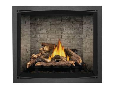 Napoleon Elevation 42 Direct Vent Gas Fireplace - E42NTE