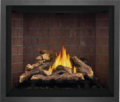 Napoleon Elevation 42 Direct Vent Gas Fireplace - E42NTE
