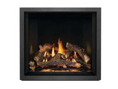 Napoleon Elevation X 36 Direct Vent Gas Fireplace - EX36NTEL