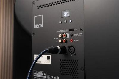 SVSound SB-3000 R|Evolution Reference Sealed Subwoofer - SVS-SB-3000RBLKGLS