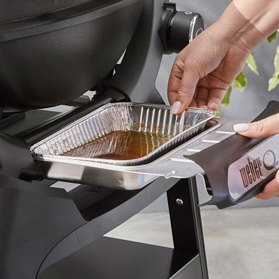 Weber Q 1200N 1 Burner Gas Grill in Liquid Propane - 1502198
