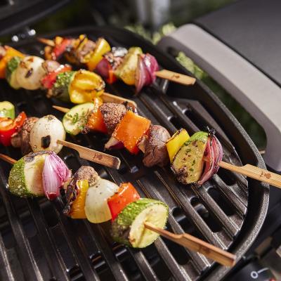 Weber Q 1200N 1 Burner Gas Grill in Liquid Propane - 1502198