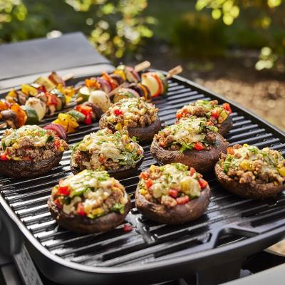 Weber Q 1200N 1 Burner Gas Grill in Liquid Propane - 1502198