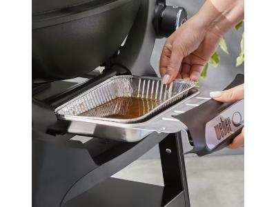 Weber Q 1200N 1 Burner Gas Grill in Liquid Propane - 1502199