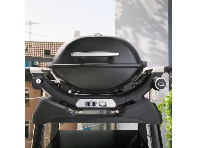 Weber Q 1200N 1 Burner Gas Grill in Liquid Propane - 1502199