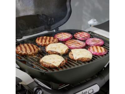 Weber Q 1200N 1 Burner Gas Grill in Liquid Propane - 1502199