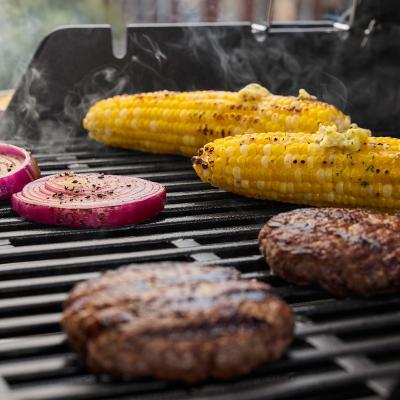 Weber Spirit EX-325 Smart 3-Burner Liquid Propane Gas Grill - 1501843
